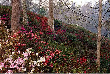 《光与影：33号远征队》暂无DLC计划 或将推出无障碍功能与新内容！